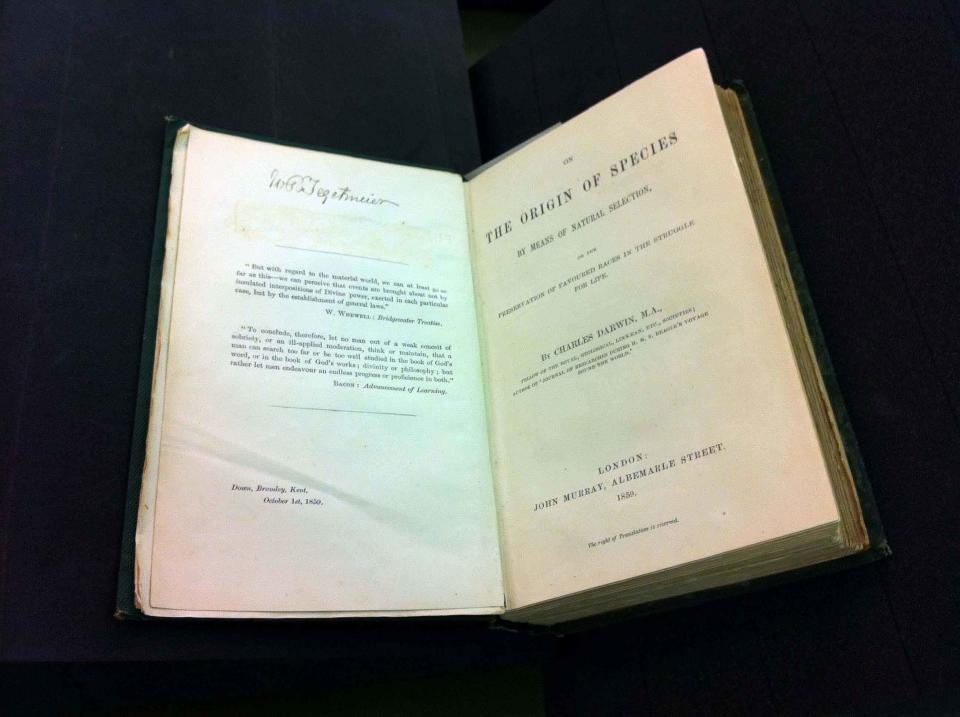 On the Origin of Species first edition – a rare copy of the book that changed the way we look at the world around us. Considered the most important book in biology, it describes Darwin’s theory of evolution by natural selection. (Natural History Museum)