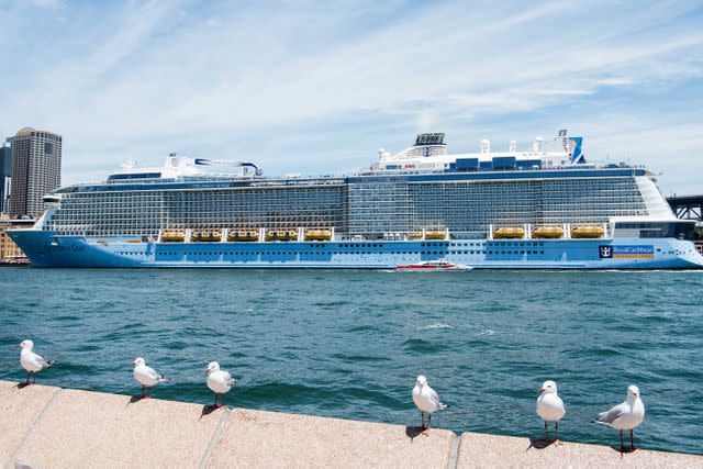 <p>James D. Morgan / Getty Images</p> A Royal Caribbean cruise liner