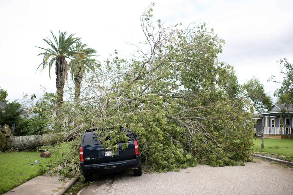 Un árbol caído en un automóvil en Freeport, Texas, el 8 de julio de 2024, después de que el huracán Beryl tocara tierra.  (Foto de Mark Felix/AFP) (Foto de MARK FELIX/AFP vía Getty Images)