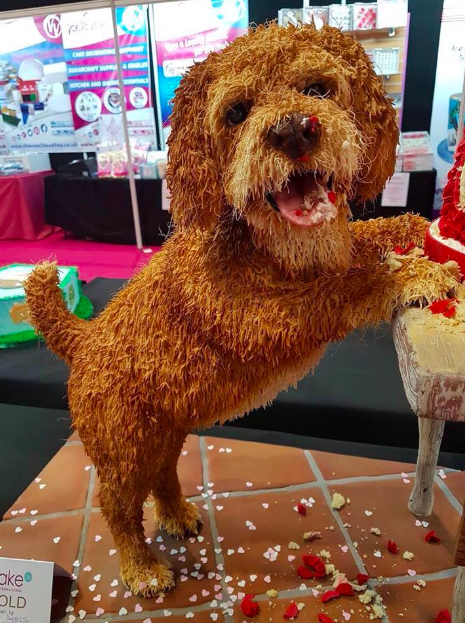 The dog is not real and it’s part of the cake. MINDS BLOWN. Source: Facebook/Jill’s Cakes