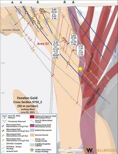 Fenelon Gold, Cross Section 9750_E