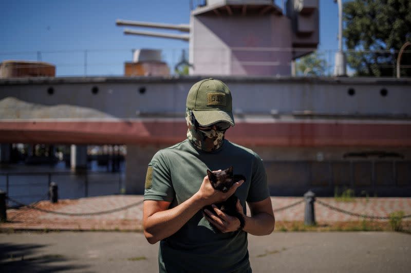 A member of the Ukrainian Special Forces holds 'Snake', a small kitten rescued from Snake Island after it was recaptured by the Ukrainian Armed Forces, in Kyiv