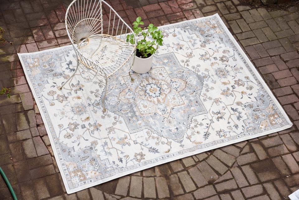 7) Tess Indoor/Outdoor Medallion Area Rug