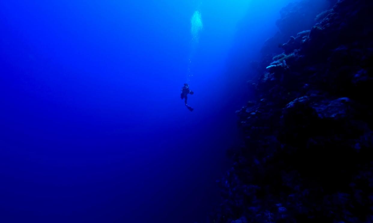 <span>The big blue: coral reefs are among the casualties of global heating.</span><span>Photograph: Jason Edwards/Getty Images</span>