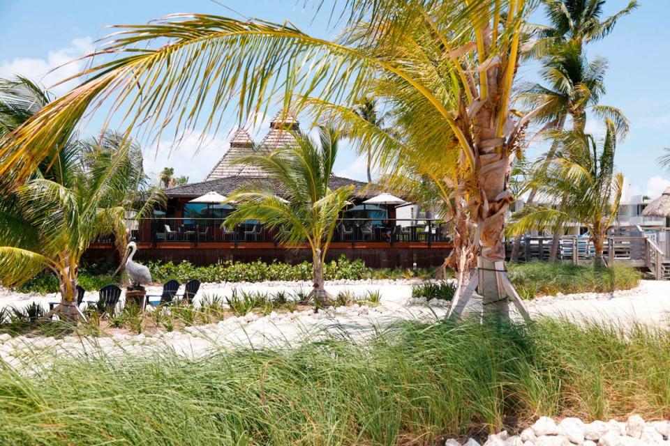 The private beach at Oceanside Safari on Islamorada has been landscaped.