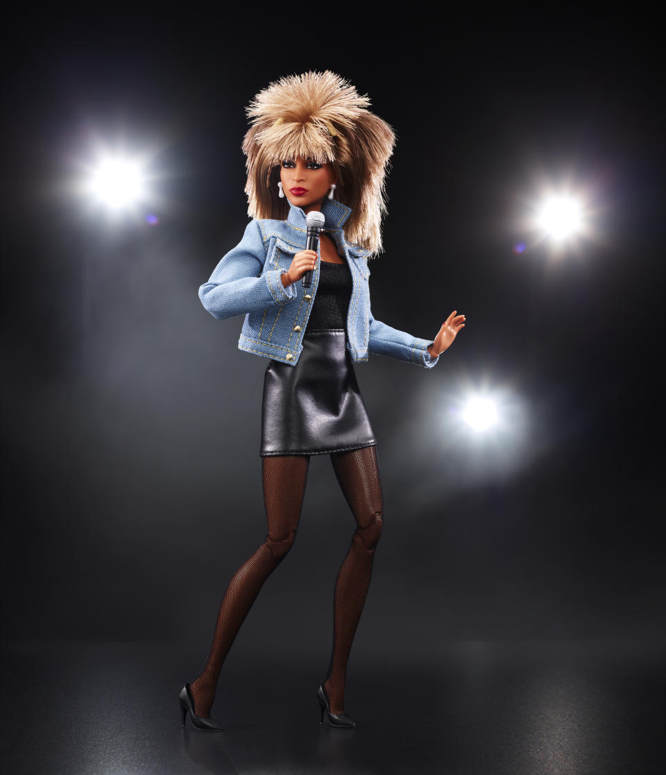 Tina Turner Barbie Signature Music Collection 