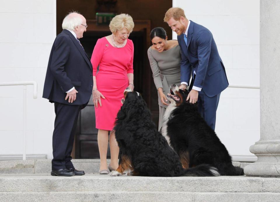 President Higgins and his wife Sabina introduce Prince Harry and Meghan Markle to their dogs Bród and Síoda during a visit by the royal couple to Dublin in July (PA)