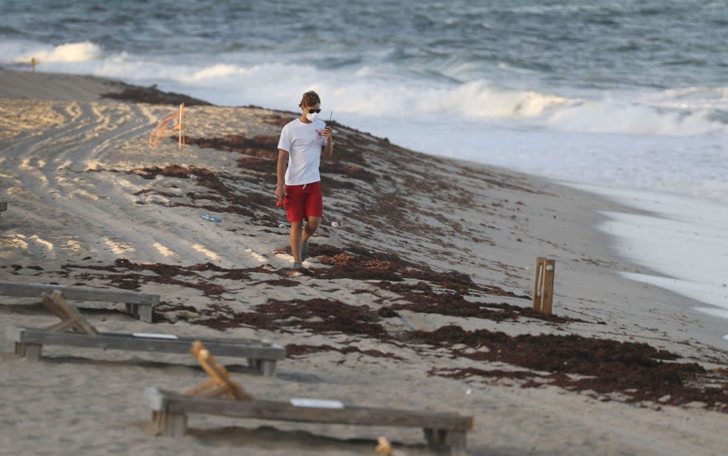 Florida suffered the worst outbreak of the toxic red algae in history, affecting more than 200 miles of coastline, last summer - 2018 Getty Images