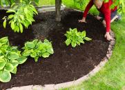 <body> <p>Give fall- and winter-hardy plants some extra protection. Deeply water them before the ground freezes, then add a thick layer of mulch around the roots to provide insulation. Wrap tender perennials with burlap or plastic to create a <a rel="nofollow noopener" href=" http://www.bobvila.com/slideshow/build-your-own-greenhouse-11-easy-to-assemble-kits-45789?bv=yahoo" target="_blank" data-ylk="slk:mini-greenhouse;elm:context_link;itc:0;sec:content-canvas" class="link ">mini-greenhouse</a> of warmer air that will help protect them from low temperatures, wind, and snow.</p> <p><strong>Related: <a rel="nofollow noopener" href=" http://www.bobvila.com/slideshow/liven-up-your-winter-porch-with-8-cold-loving-plants-48437?bv=yahoo" target="_blank" data-ylk="slk:Liven Up Your Winter Porch with 8 Cold-Loving Plants;elm:context_link;itc:0;sec:content-canvas" class="link ">Liven Up Your Winter Porch with 8 Cold-Loving Plants</a> </strong> </p> </body>