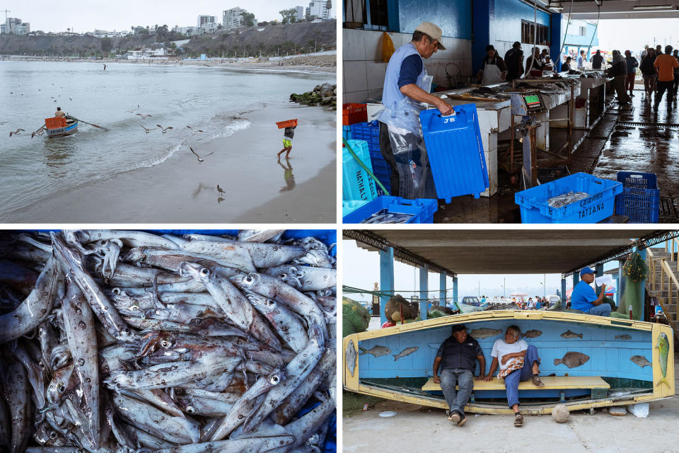 The daily catch is brought ashore and processed for sale at the artisanal fish market in the port of Chorrillos. (Florence Goupil for NBC News)