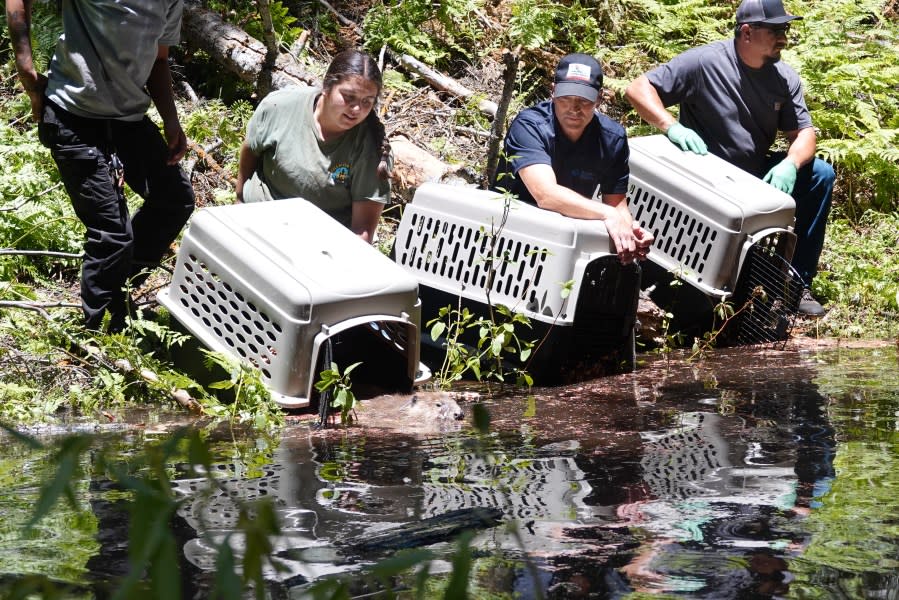 California Department of Fish and Wildlife