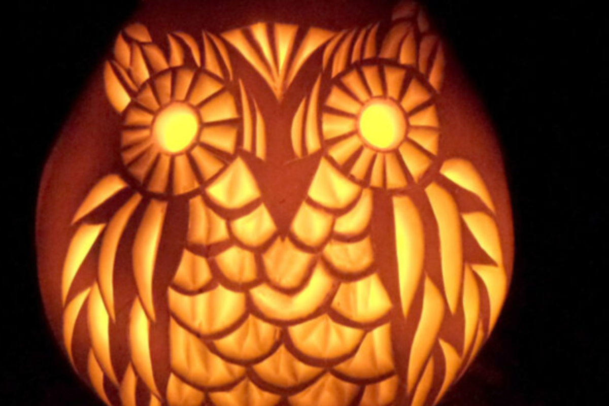 Detailed owl <em>jack-o'-lantern</em><p>Ananda - A Piece of Rainbow</p>