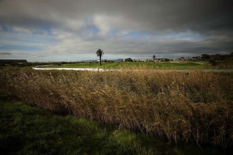 Contested land earmarked for a development, which includes a new Africa headquarters for U.S. retail giant Amazon, is seen alongside the Liesbeek river in Cape Town