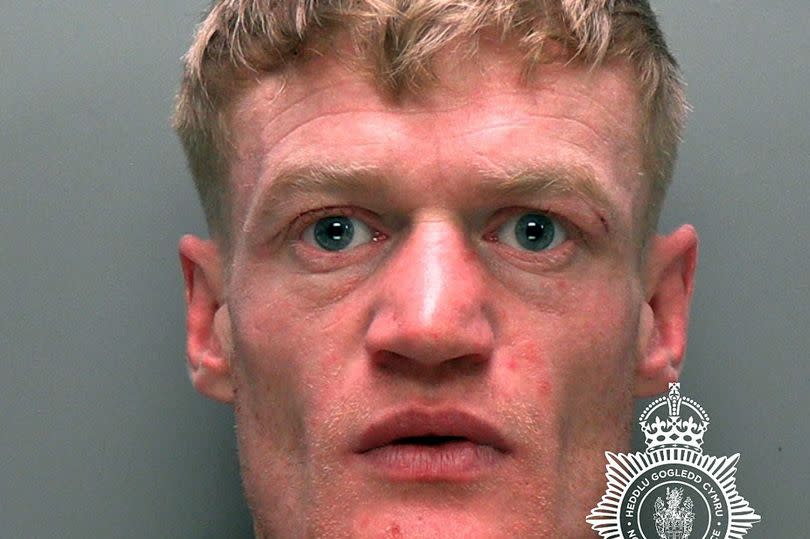 Gordon Daniel Watts, 35, of East Parade, Rhyl, admitted a string of offences including breaching a restraining order and causing unnecessary suffering to a dog and was jailed for a total two years and two months.