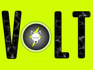 Volt Inu