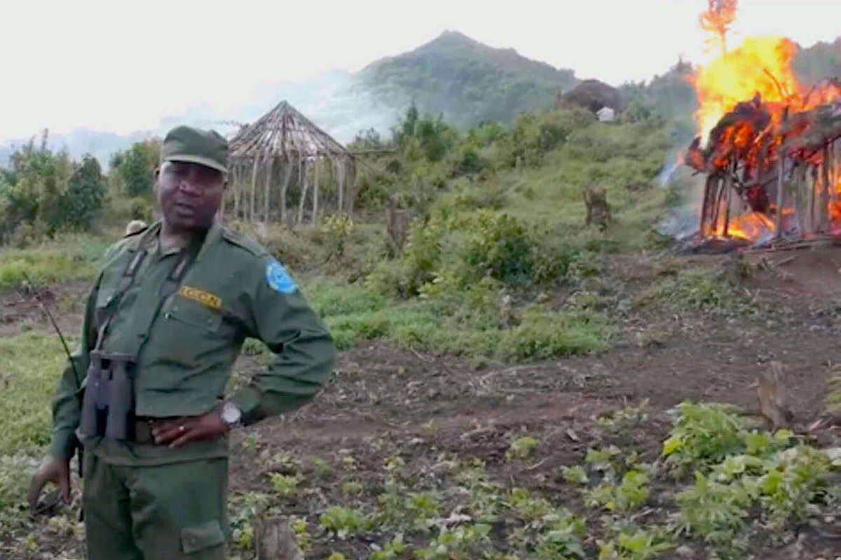 A guard in Kahuzi-Biega National Park, a World Heritage Site, burns the homes of Indigenous Batwa.  KBNP