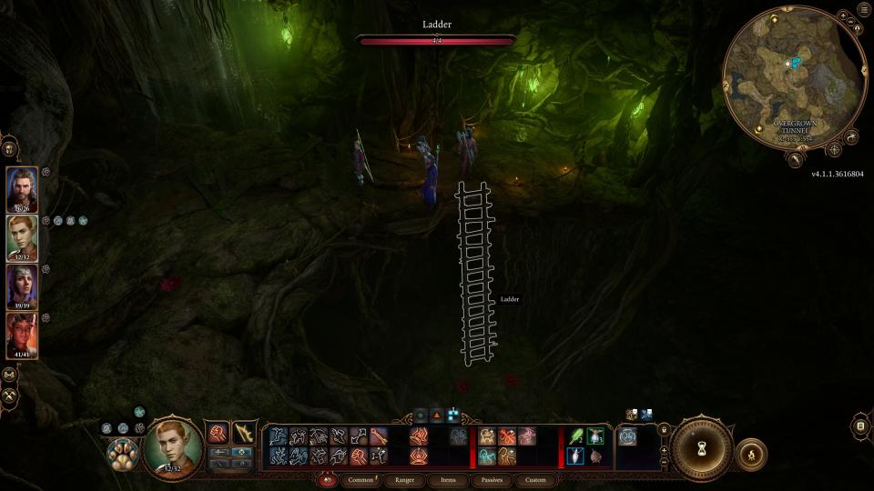 Baldur's Gate 3 Underdark entrances - Ladder