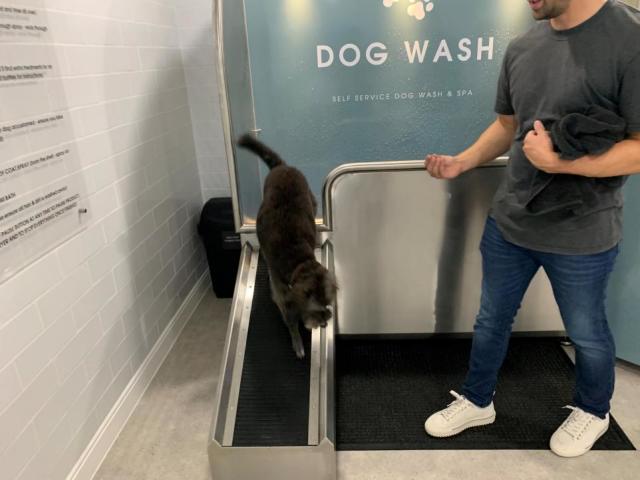 Petsmart self service dog clearance wash