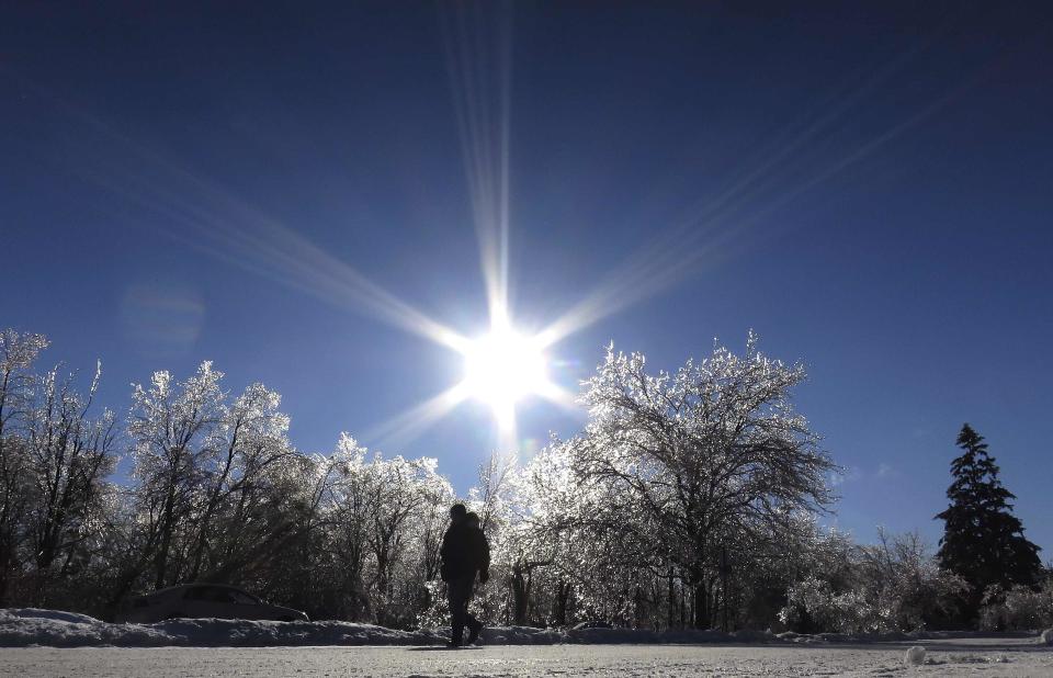 A man walks past the ice encrusted woods in Earl Bales Park following an ice storm in Toronto