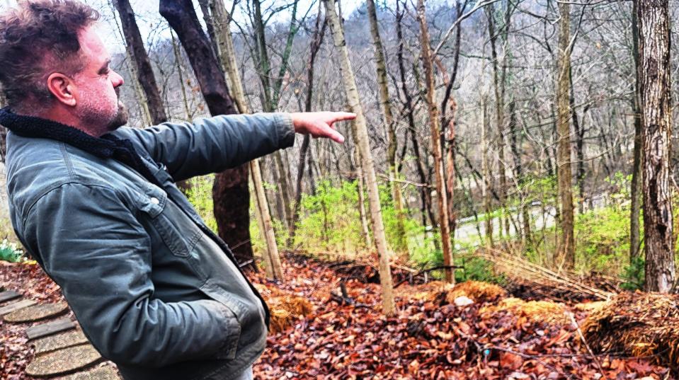 Jim Ferguson points toward a steep ravine east of his Blue Ridge lot above which he has massed logs, limbs, leaves and straw to control erosion in hügelkulture fashion. The steep bank has been stabilized, and wildlife abounds. North Walnut Street can be seen through the trees.