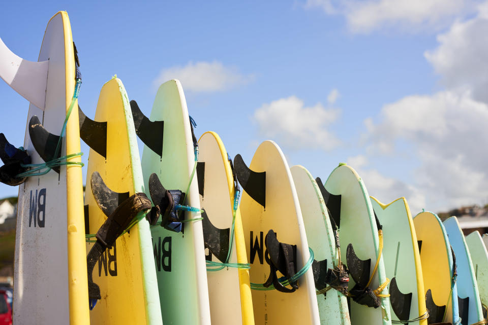 surf boards lined up at the beach