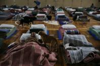 Homeless shelter in Brazil puts a 'roof' over man's best friend during low temperatures