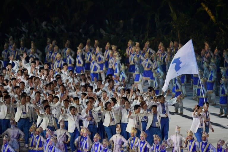 The two Koreas also marched together at this year's Pyeongchang Winter Olympics opening ceremony