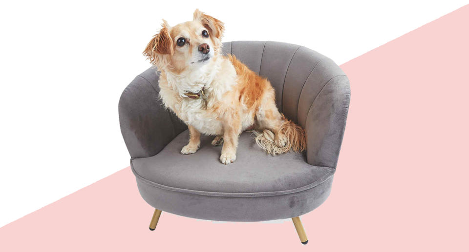 Its the chicest dog seat we've ever seen. (Aldi)