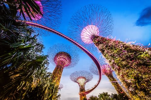 Gardens By The Bay - Credit: getty