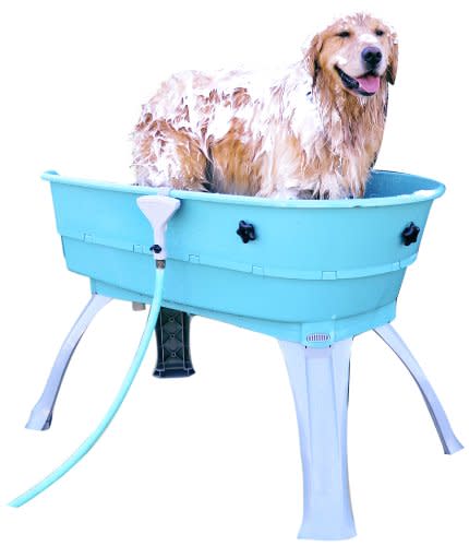 Booster Bath Elevated Pet Bathing (Amazon / Amazon)