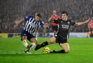 Premier League - Brighton & Hove Albion v Leicester City