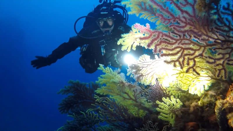 Italy's Coast Guard heralds lockdown a success for the sea