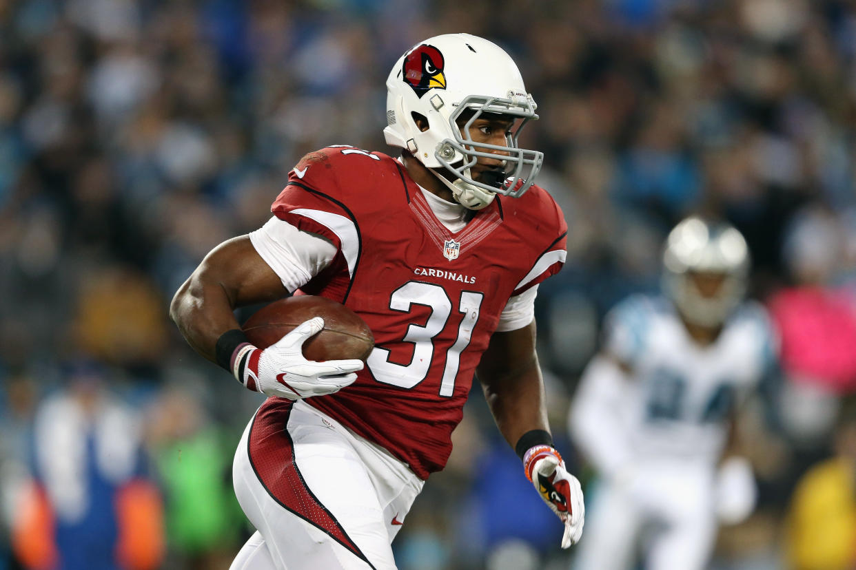 NFC Championship - Arizona Cardinals v Carolina Panthers