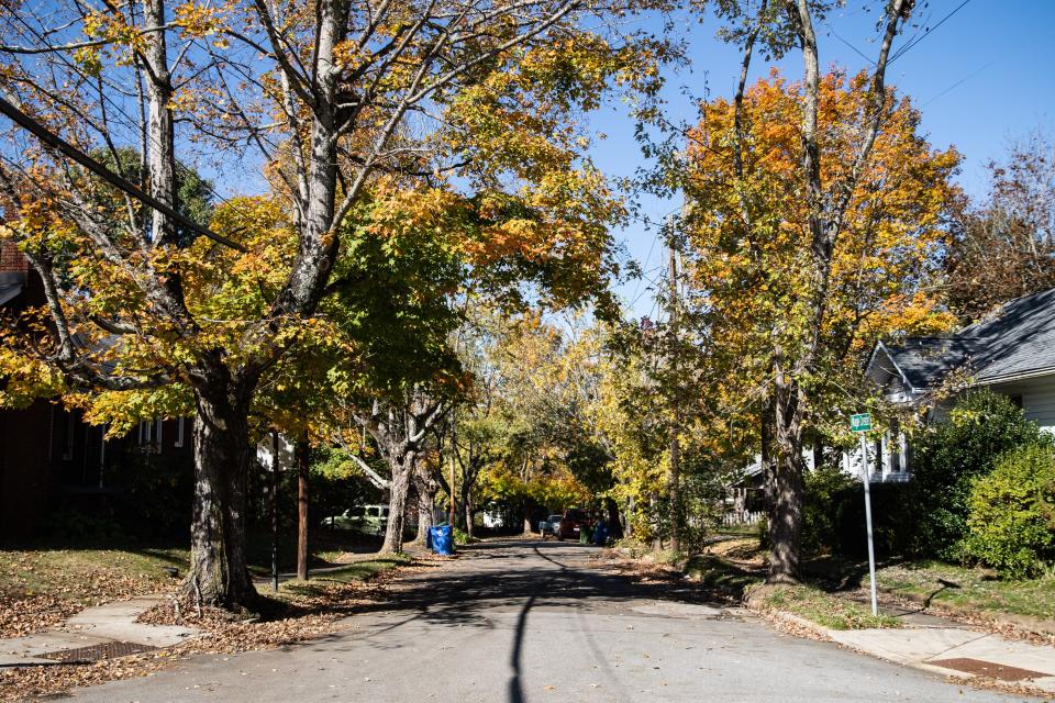 The Vermont Avenue Sidewalk Project could result in the removal of dozens of trees in the neighborhood.