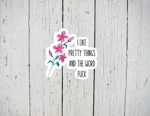 24) I Like Pretty Things and the Word F*ck Sticker
