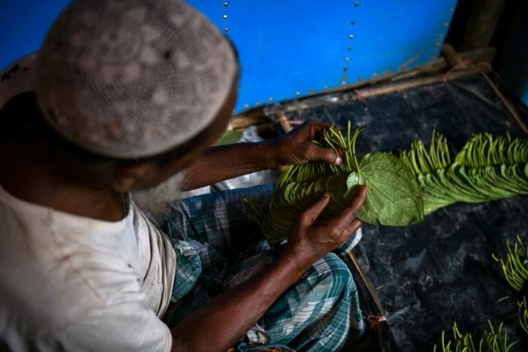 In June the World Bank moved to head off angst between the Rohingya and their Bangladeshi hosts