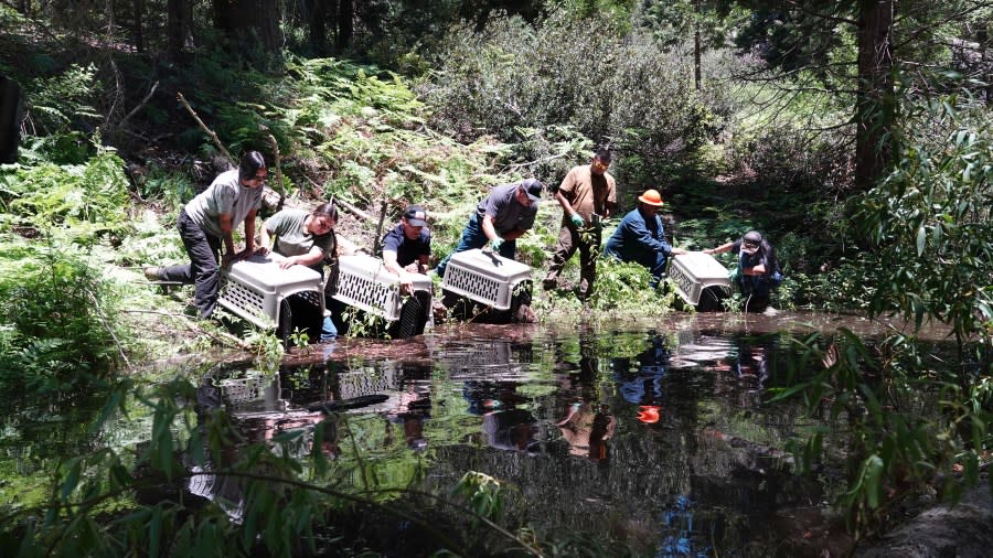 California Department of Fish and Wildlife