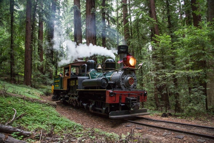 Roaring Camp Steam Train near Santa Cruz, California