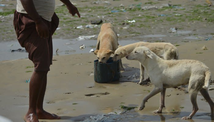 The fisherman bring buckets of food for the hungry island inhabitants. Source: AFP