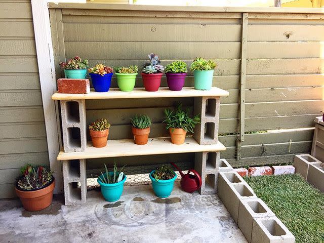 6) Plant Shelf
