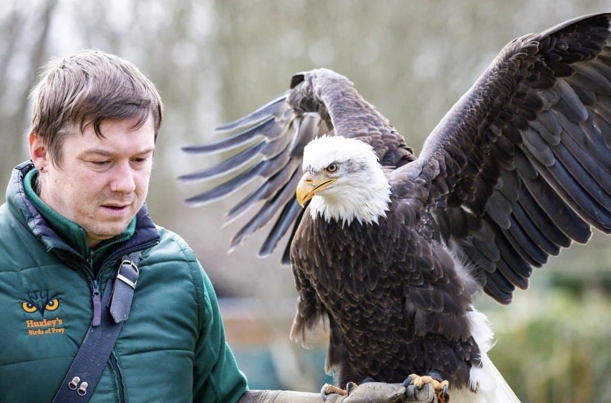 Huxley's Birds of Prey Centre, Horsham, West Sussex