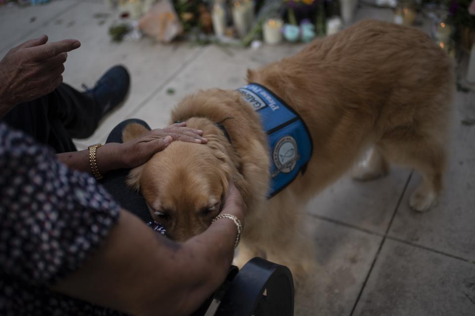 A woman pets a comfort dog named Gabriel at the memorial site for victims of the mass shooting at Robb Elementary School in the town square of Uvalde, Texas, on Saturday, May 28, 2022. In a town as small as Uvalde, even those who didn't lose their own child lost someone. Some say now that closeness is both their blessing and their curse: they can lean on each other to grieve. But every single one of them is grieving. (AP Photo/Wong Maye-E)