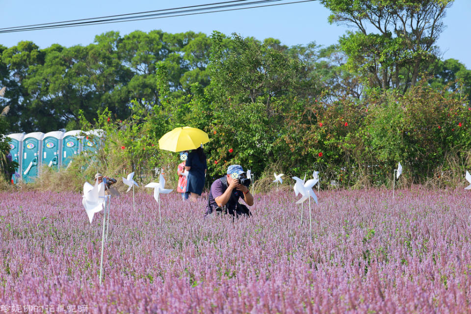 2022桃園仙草花節～仙茶之舞