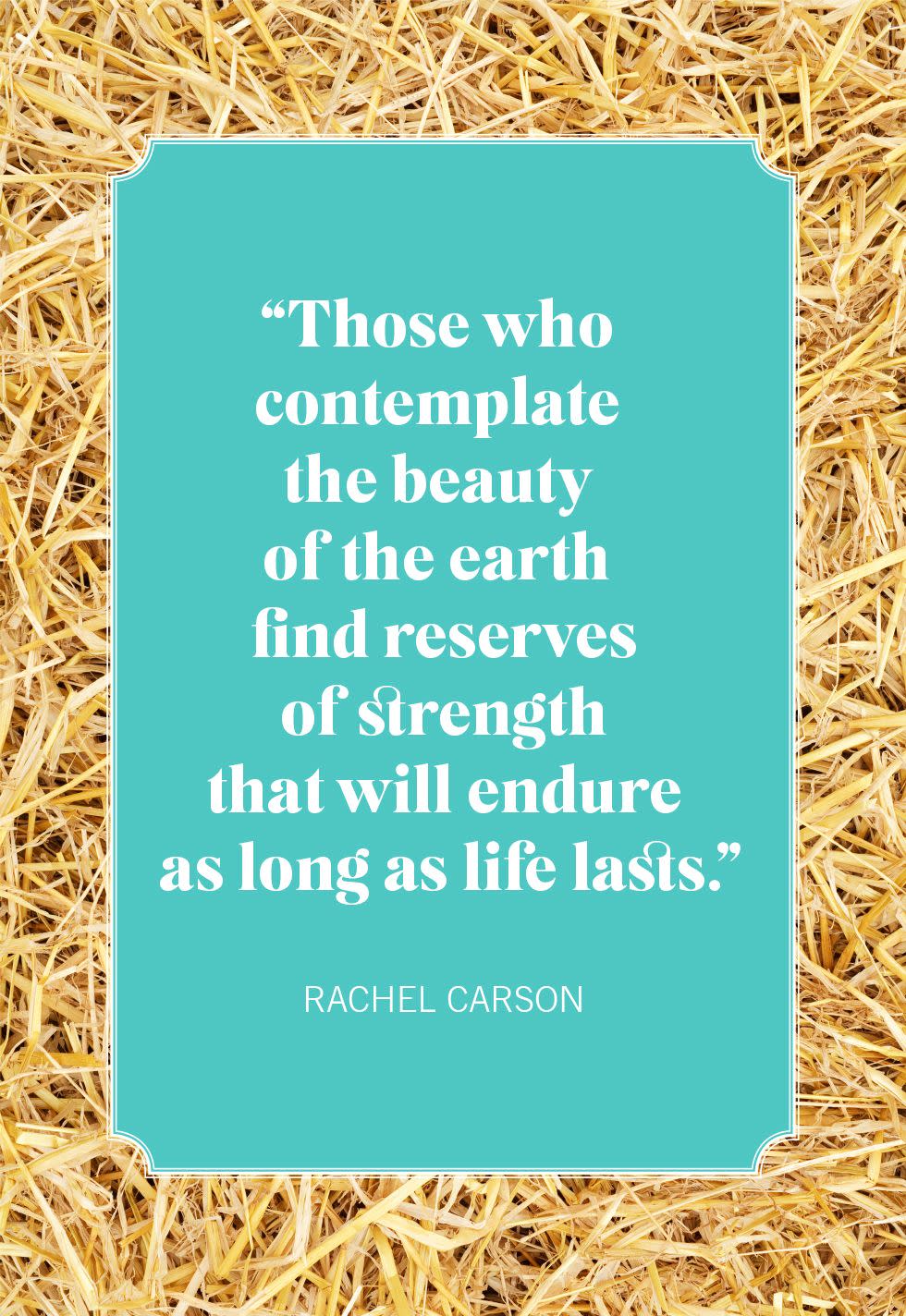 nature quotes rachel carson