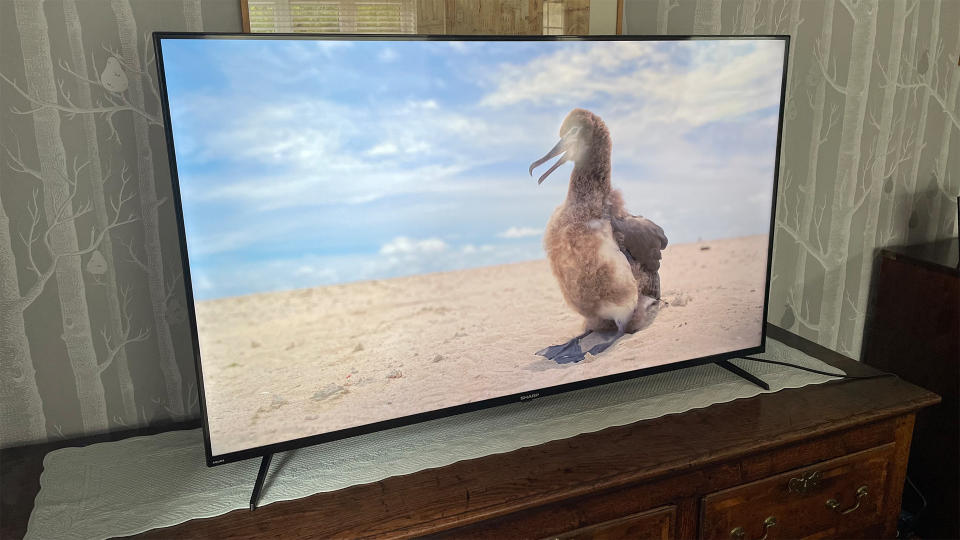 Budget 4K TV: Sharp 55FN2KA