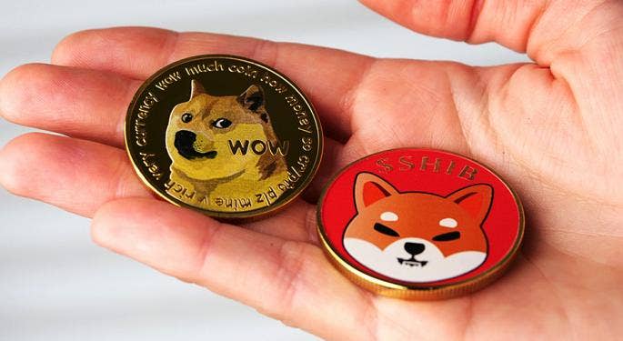 Dogecoin, Shiba Inu o Baby Doge?