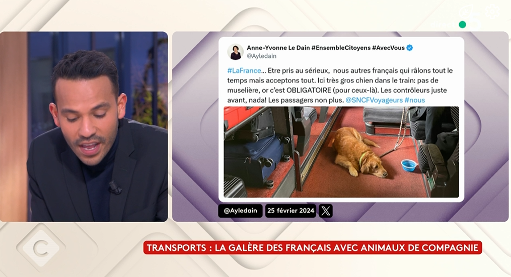 Le propriétaire du chien sans muselière qui a suscité l’indignation, réagit dans « C à vous ».