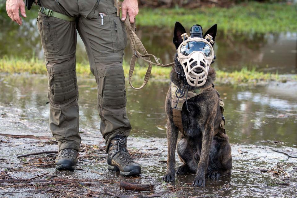 The Florida State Guard Special Missions Unit Major Odin is prepared for search and rescue for people after Hurricane Helene hit the area on September 27, 2024 in Steinhatchee, Florida.