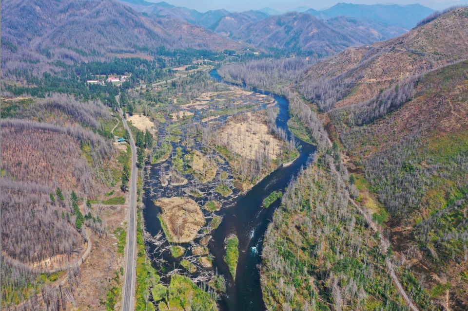 An overhead view shows the Finn Rock Reach site to the left side of the McKenzie River following phase two of the project.