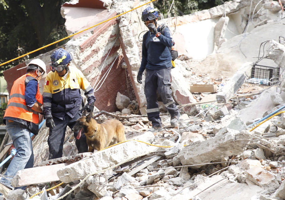 <p>MEX60. CIUDAD DE MÉXICO (MÉXICO), 19/09/2017.- Rescatistas trabajan entre los escombros de los edificios colapsados en Ciudad de México (México) hoy, martes 19 de septiembre de 2017, tras un sismo de magnitud 7,1 en la escala de Richter, que sacudió fuertemente la capital mexicana y causó escenas de pánico justo cuanto se cumplen 32 años de poderoso terremoto que provocó miles de muertes. EFE/Sáshenka Gutiérrez </p>